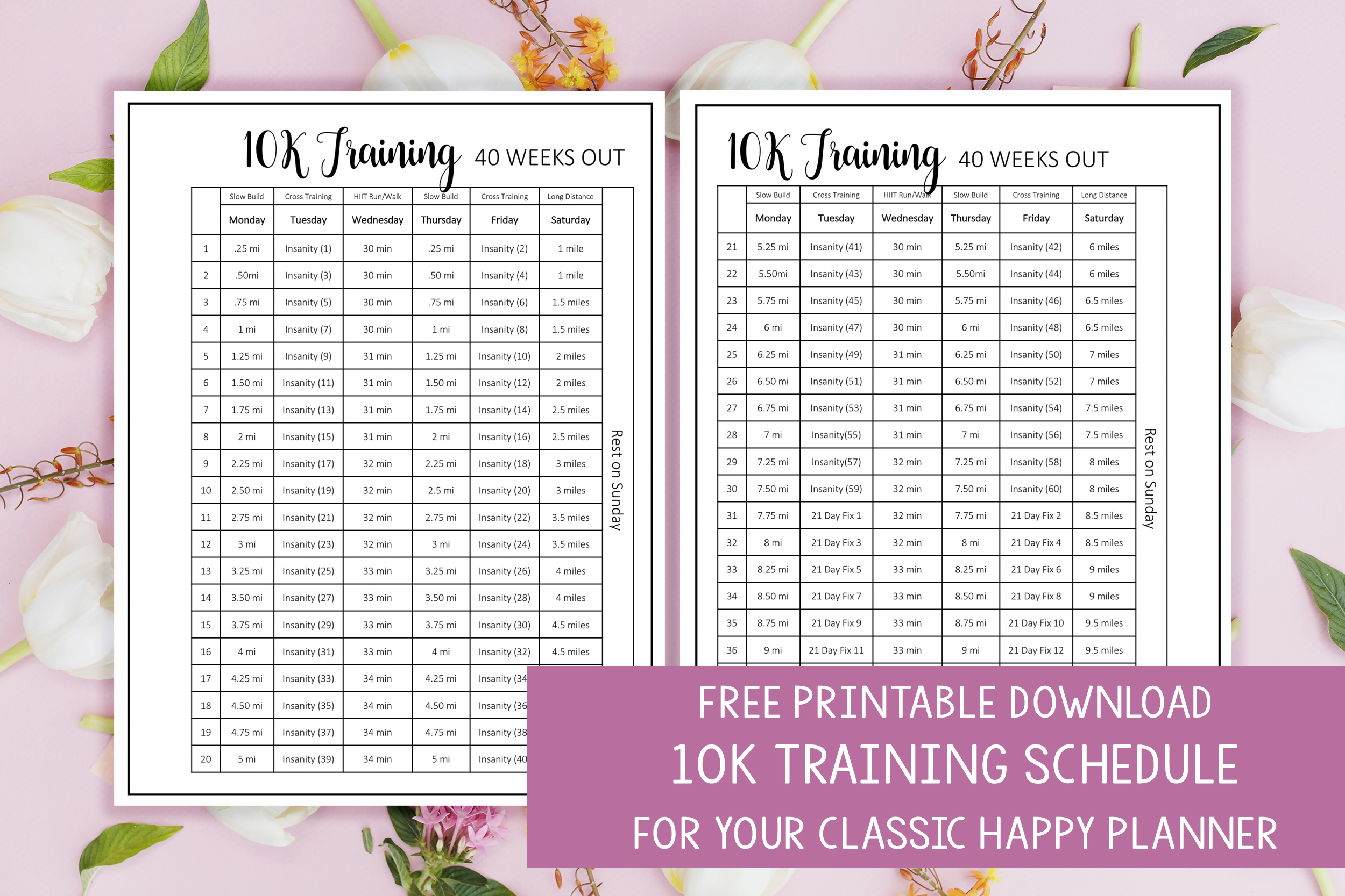 Free Printable 10K Training Schedule for your Classic Happy Planner ...